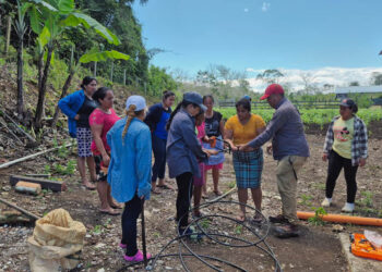 Instalan sistema de captación de agua y microriego en Poptún
