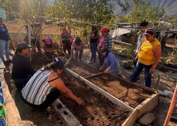 Instruyen a productoras de Baja Verapaz en el manejo de cultivos familiares