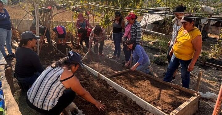 Instruyen a productoras de Baja Verapaz en el manejo de cultivos familiares