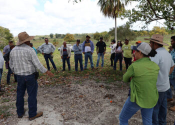 Intercambio de experiencias fortalece la ganadería en finca La Fe