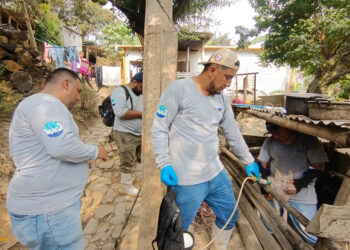 Jornada de sanidad porcina fortalece la economía en Escuintla