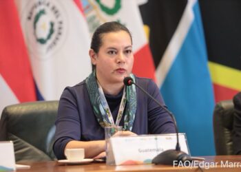Lanzan en el Año Internacional de la Agricultora en la región de América Latina y el Caribe