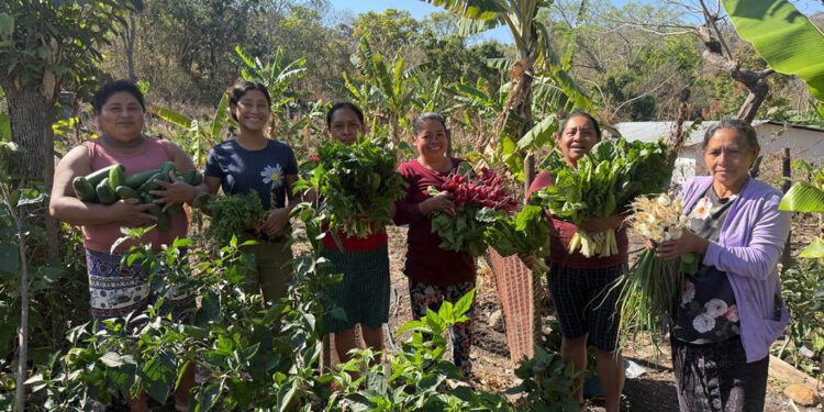 Los CADER de Chiquimula optimizan la economía local con venta de hortalizas