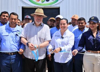 Nuevo centro de acopio fortalece cadenas de valor en Petén