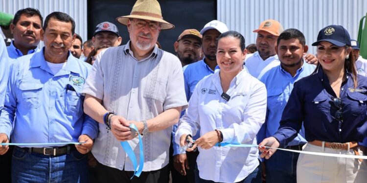 Nuevo centro de acopio fortalece cadenas de valor en Petén