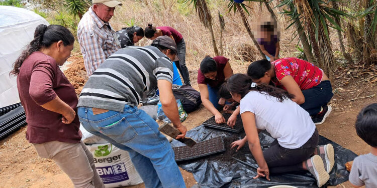 Optimizan capacidades productivas de familias agricultoras de Zacapa