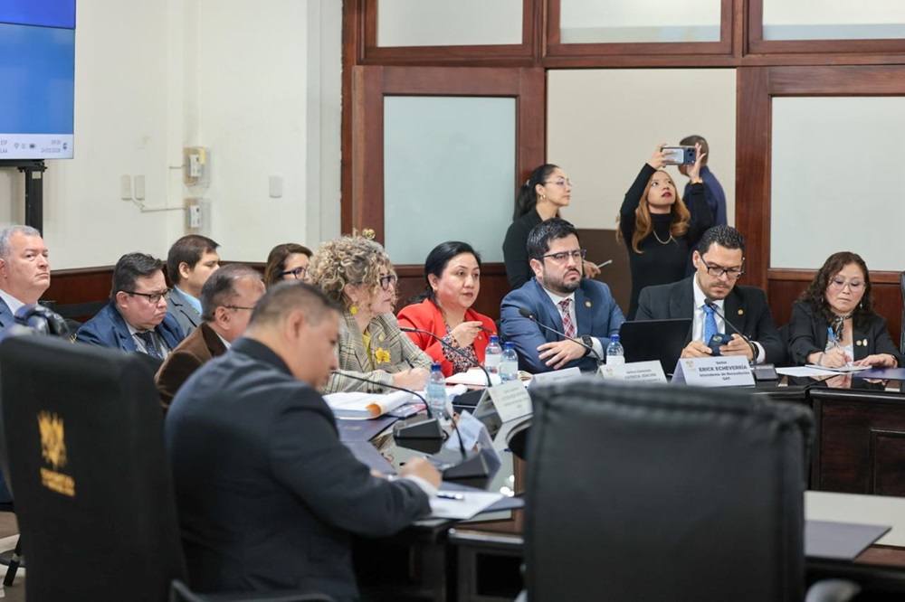 La viceministra de Ingresos y Evaluación Fiscal, Patricia Joachín, acudió a la instancia de jefes de bloque del Congreso de la República.