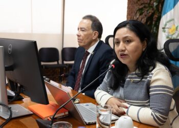 La viceministra de Ingresos y Evaluación Fiscal, Patricia Joachín, destacó varios puntos frente a la misión de la FMI.