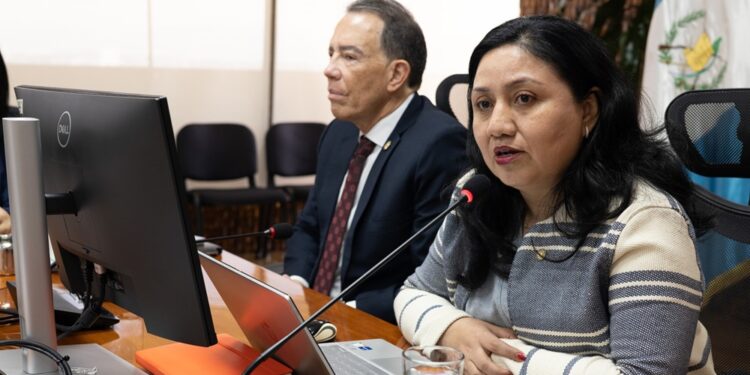 La viceministra de Ingresos y Evaluación Fiscal, Patricia Joachín, destacó varios puntos frente a la misión de la FMI.