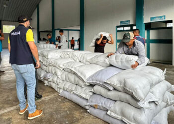 Preparan distribución de más de 11 mil raciones de alimentos