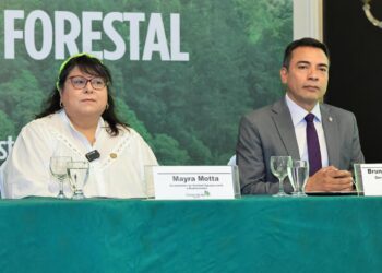 Presentan estrategia de gestión forestal para fortalecer sostenibilidad del sector agro