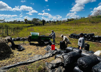 Productor transforma su finca gracias al modelo de ganadería sostenible