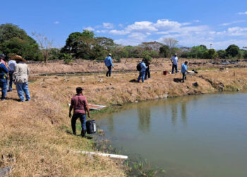 Productores de zacapanecos intercambian experiencias en acuicultura en la Costa Sur