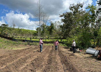 Recomendaciones ante riesgos agroclimáticos