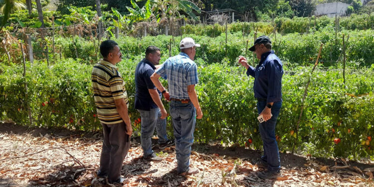 Rehabilitan toma artesanal de riego en Guastatoya