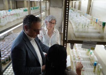 Resaltan el trabajo del ICTA y la protección de semillas para fortalecer el agro