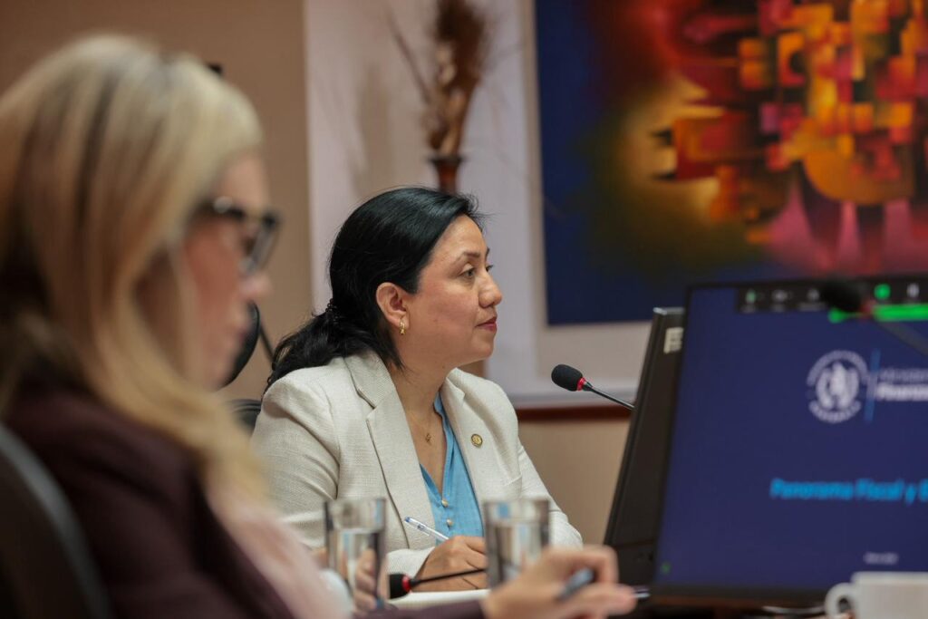 La viceministra de Ingresos y Evaluación Fiscal, Patricia Joachín explicó los avances alcanzados desde el Minfin.