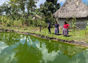 Se impulsan acciones para mejorar manejo de estanques y fortalecer la producción acuícola