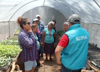 Supervisan avances técnicos en la producción de hortalizas del proyecto MAGA/KOPIA