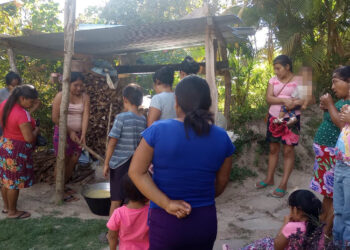 Supervisan normas de higiene en producción avícola de La Unión