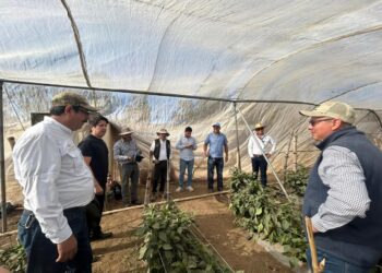 Supervisión de campo fortalece formación técnica agrícola en la ENCA