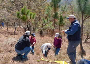 Toman muestras de suelo en Huehuetenango para fortalecer el mapa de fertilidad