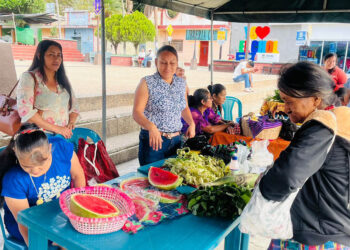 Variedad de cosechas y productos destacan en Feria del Agricultor de Santa Cruz El Chol
