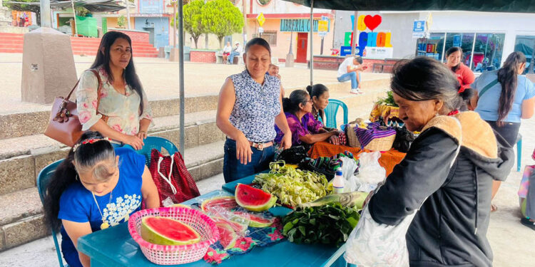Variedad de cosechas y productos destacan en Feria del Agricultor de Santa Cruz El Chol