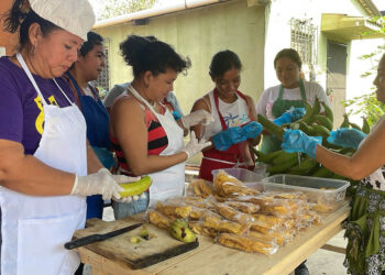 Verifican proyectos comunitarios para fortalecer el programa Alimentos por Acciones
