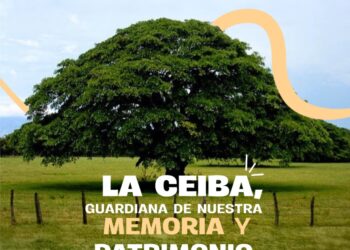 Hoy celebramos el Día de la Ceiba