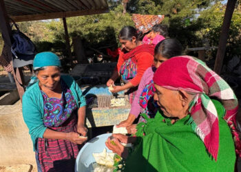 Capacitan a familias rurales en transformación de alimentos e inocuidad