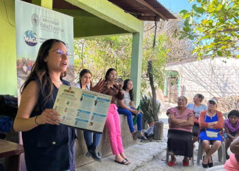 Huertos familiares la alternativa para mejorar la alimentación y la economía familiar