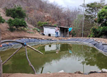 Asistencia técnica impulsa producción piscícola en Cabañas