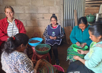 Mujeres de Cantel transforman el cacao en oportunidades de negocio