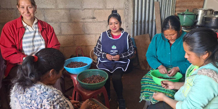 Mujeres de Cantel transforman el cacao en oportunidades de negocio