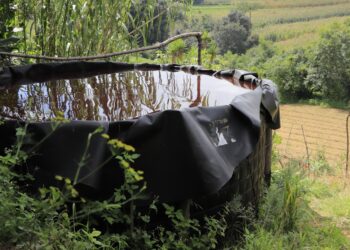 Recomiendan uso eficiente del agua debido al clima variable