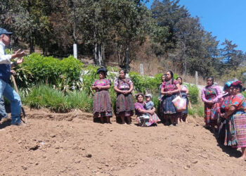 Impulsan la conservación de suelos para mejorar la productividad