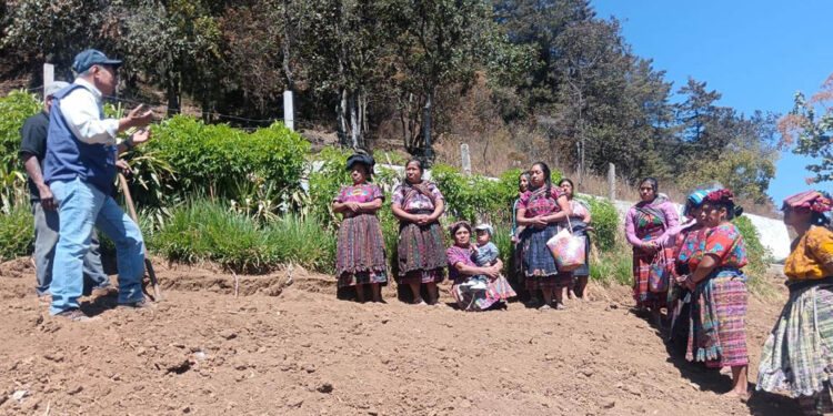 Impulsan la conservación de suelos para mejorar la productividad