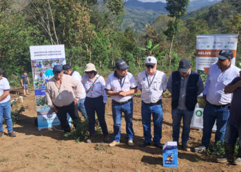 Supervisan avances en seguridad alimentaria y diversificación de cultivos
