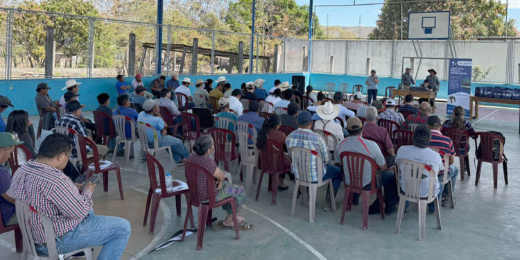 Capacitan a productores y estudiantes para la prevención del Gusano Barrenador