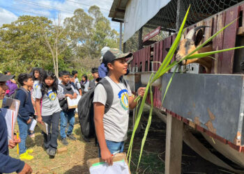 La experiencia que conecta a los estudiantes con la producción de alimentos