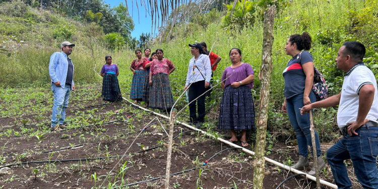 Trabajo conjunto fortalece huertos de familias de San Luis