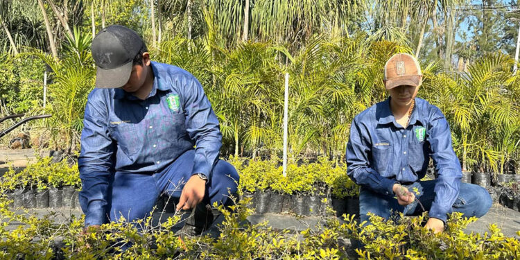 Impulsan competencias agrícolas en futuros peritos con el lema “Aprender Haciendo”