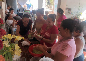 Impulsan la nutrición con recetas de plantas locales