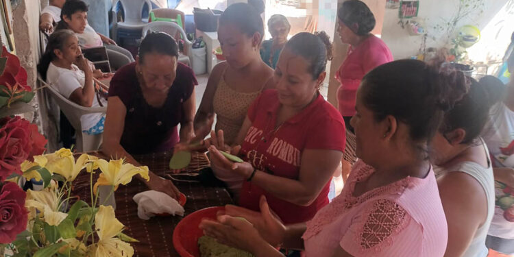 Impulsan la nutrición con recetas de plantas locales