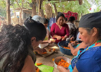 Fomentan la nutrición saludable con prácticas demostrativas