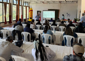 Capacitan a productores en Sololá para prevenir y controlar el Gusano Barrenador