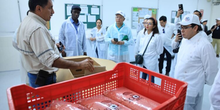 CIRSA conoce proceso que ha logrado reducir en un 94% la mosca del Mediterráneo