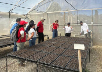 Convenio tripartito fortalece la seguridad alimentaria de familias en Chuarrancho