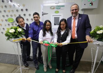 Guatemala fortalece el resguardo de sus semillas con nueva cámara fría en el ICTA